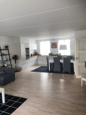 CITY LUX APARTM, 2 FULL BATHROOMs, 2tv Copenhagen